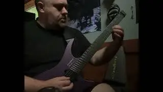 Strandberg Boden Metal 6