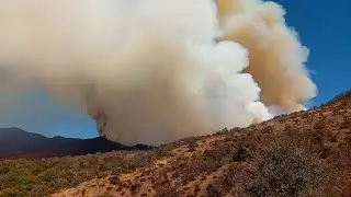Vuelve a salirse de control incendio en San Lucas Quiaviní | Entrevista 📞 a Magdalena Coello