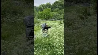 змеи по всюду #змеи #рыбалка  #отдых #лес #camping #nature #fishing