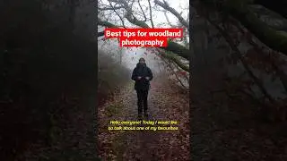 How to improve your woodland photography: best tips ever! #shorts