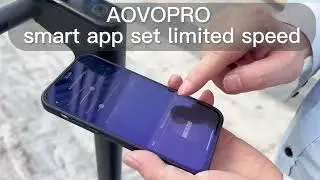 AOVOPRO ESMAX Dual Suspension Dual Brake Anti-puncture Self-sealing Air Tyre Electric Scooter