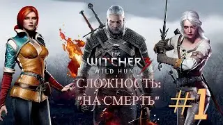 Ведьмак 3: Дикая Охота, сложность: 
