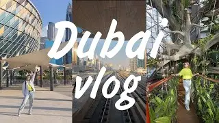 Dubai vlog 1. Летим в Дубай. The green planet