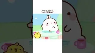 😨Molang And Piu Piu Having Breakfast #shorts #funnycartoon #molang