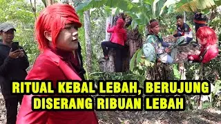 PANIK HAMPIR T3W4S ‼️ BONGKAR RITUAL KEBAL LEBAH, PESULAP MERAH DISERANG RIBUAN LEBAH - ILMU MERAH