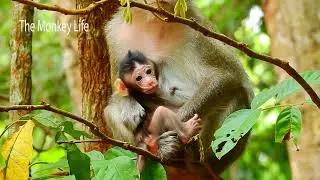take baby