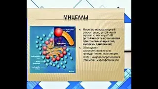 Эффективность мицеллярных напитков  #Micelline. Е.В Корсун