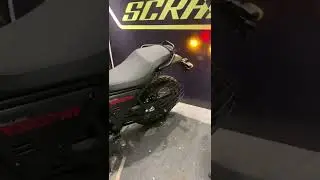 New Himalayan Scram 411 | First look | #scram411 #himalayanscram411 #royalenfield   #shorts