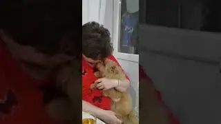 У меня  есть собака.