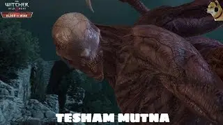 The Witcher 3 Wild Hunt – Tesham Mutna
