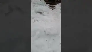 Обещание установить снегоулавливатели.
