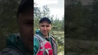 Ладога 05-07.2024