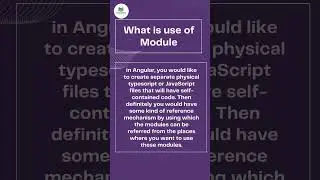 Stop Organizing Angular Wrong 