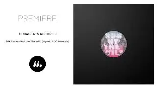 Erik Sumo - Run Into The Wild (Mytron & Ofofo Remix) (Budabeats Records) | Le Mellotron Premiere