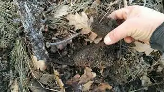 И снова зимний металлокоп 2022--мужская слабость.