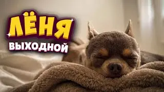 Лёня выходной