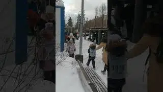 Участники «Лыжни России» в Зеленограде пробираются к трассе по нечищенной дорожке
