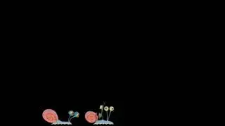 SpongeBob Movie After Credits Scene / Paramount Pictures Closing Logo (2015)