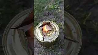 Полезные советы в лесу.