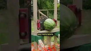 GUILLOTINE EXPLAINED! 