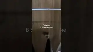 Скумбрия провесная, тоже вкусная.