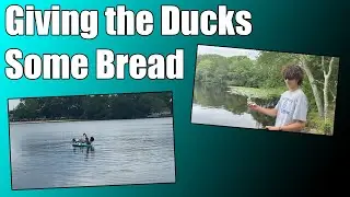Giving the Ducks Some Bread