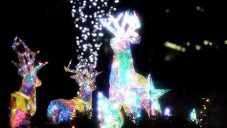 横浜 みなとみらい イルミネーション