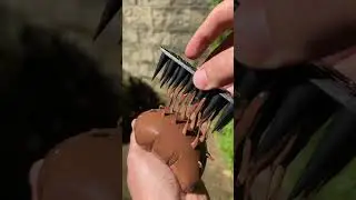 Chocolate anyone? by sosatisfying #shorts