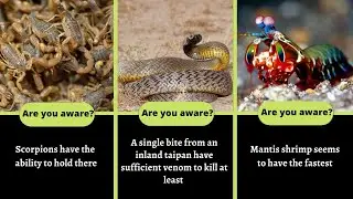 20 Facts You Didn't Know 5 Minutes Ago Part 2| Interesting Random Facts| Funpectationfad