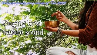 Singing Bowl | With Nature Sound
