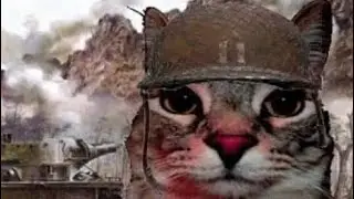 Mimi sentry expansion