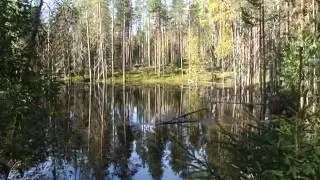 Отдых в Карелии Как правильно передать привет друзьям