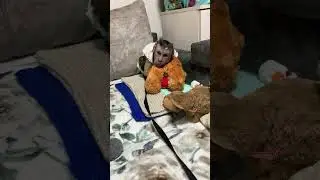 Привет всем вам 