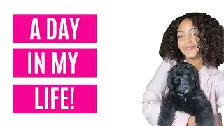 VLOG: DAY IN THE LIFE | I GOT A JOB AND A NEW PUPPY