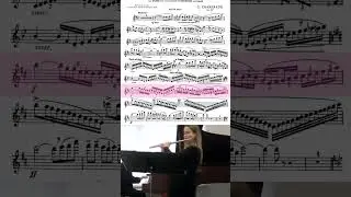 flute players are obsessed with this piece 🥰 #flute #classicalmusic