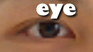 eye