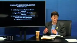 Willig, Williams & Davidson Lawyer Reviews Contested Adoption Cases in PA