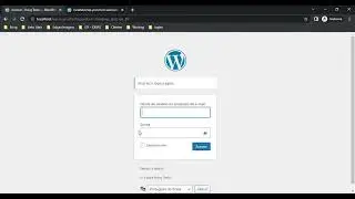 Lock wordpress panel with Api