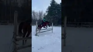 Новое видео,конкур!!!Я буду редко появляться