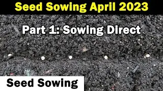 Seeds to Sow in April | Seed Sowing in April 2023 | Vegetable Seed Sowing | Green Side Up