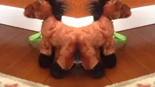 "Dream On (Glee Cast Version) [feat. Neil Patrick Harris]" Webkinz Music Video