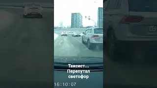 Олень за рулём такси