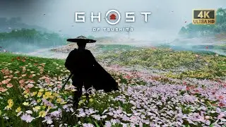 Beauty of Ghost of Tsushima. #ghostoftsushima #jinsakai #samurai #viralvideos