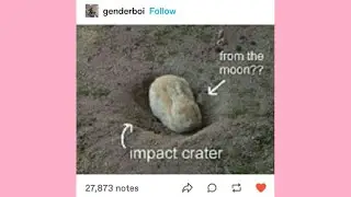 The All Seeing Mosaic | Late Night Tumblr Posts