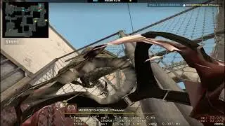 REPORT