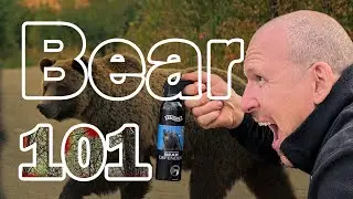 Bear Encounters: The Essential Guide to Defend Yourself and Stay Safe