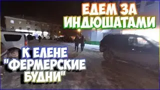 Поездка за индюшатами. Встреча каналов. Елена 