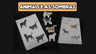 ATIVIDADE: ANIMAIS E AS SOMBRAS