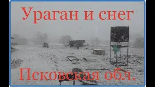 Деревенские будни. Погода не даёт работать. Жизнь в деревне//Деревня