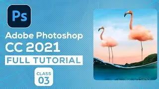 Adobe Photoshop CC 2021 Tutorial Bangla | Class 03 | 2021